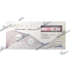 NAD+ & B12 1008mg - Synedica