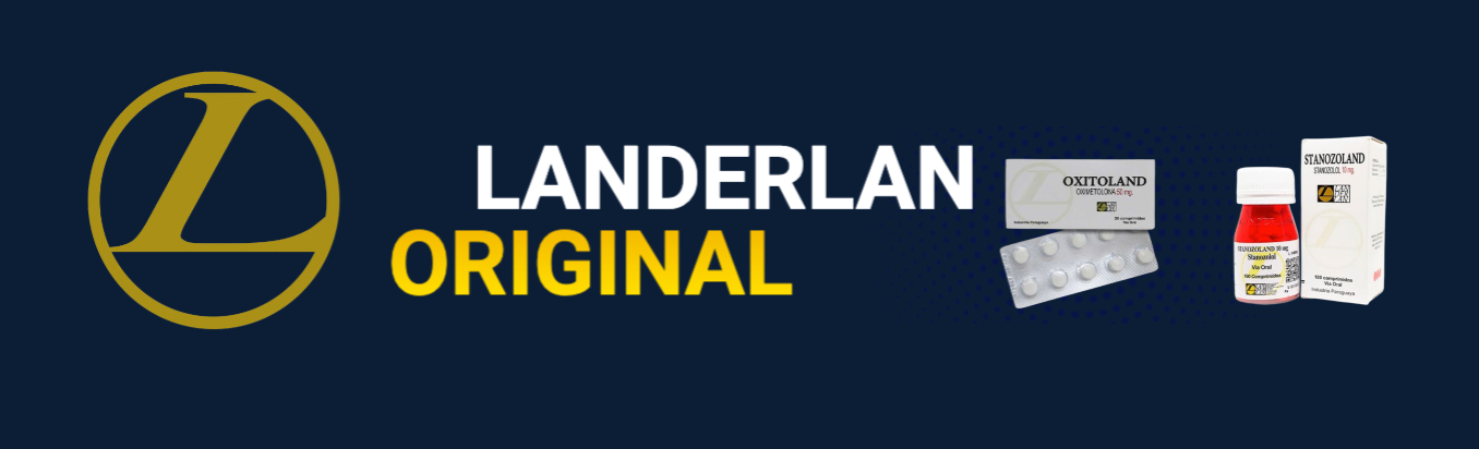 banner landerlan